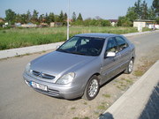 xara náhled.jpg